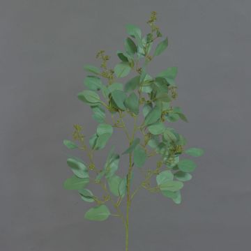 Deko Eukalyptus Zweig COBAR, blühend, crossdoor, grün, 65cm, Ø1,5cm