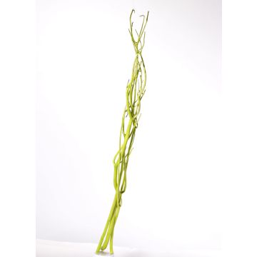 Mitsumata Zweige GERY, 3 Stück, hellgrün, 105cm