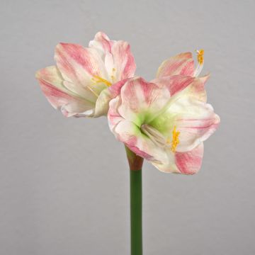 Textil Amaryllis YOLANTE, rosa-weiß, 70cm, Ø6-13cm