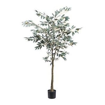 Kunstbaum Olivenbaum MAUME, Kunststamm, Früchte, 150cm