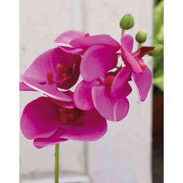 Dekozweig Phalaenopsis Orchidee OPHELIA, pink, 40cm, Ø7-8cm