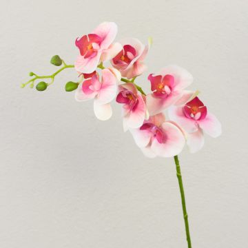Dekozweig Phalaenopsis Orchidee OPHELIA, rosa-pink, 80cm, Ø8-9cm