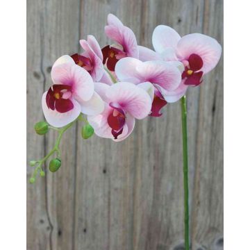 Dekozweig Phalaenopsis Orchidee OPHELIA, rosa-pink, 80cm