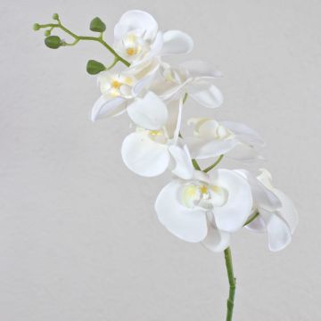 Dekozweig Phalaenopsis Orchidee OPHELIA, weiß, 80cm, Ø8-9cm