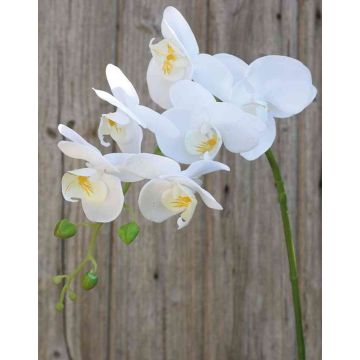 Dekozweig Phalaenopsis Orchidee OPHELIA, weiß, 80cm