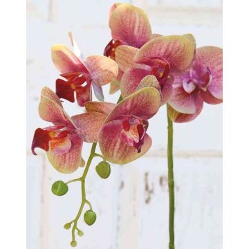 Dekozweig Phalaenopsis Orchidee OPHELIA, pink-grün, 80cm
