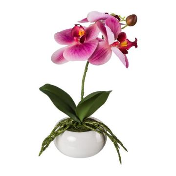 Künstliche Phalaenopsis Orchidee KASDA, Keramikschale, Wurzeln, pink, 27cm