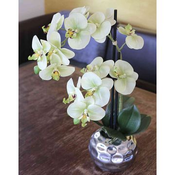Kunstblume Phalaenopsis Orchidee EMILIA, Übertopf, creme-grün, 45cm