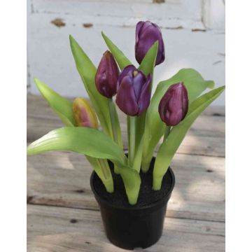 Dekoblume Tulpe LEANA im Dekotopf, violett-grün, 20cm, Ø2-4cm