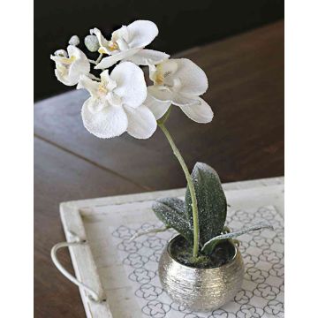 Textil Phalaenopsis Orchidee KAREN, Dekotopf, gefroren, weiß, 35cm