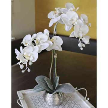 Textil Phalaenopsis Orchidee KAREN, Dekotopf, gefroren, weiß, 50cm