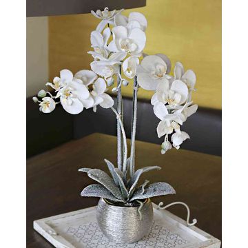 Textil Phalaenopsis Orchidee KAREN, Dekotopf, gefroren, weiß, 60cm