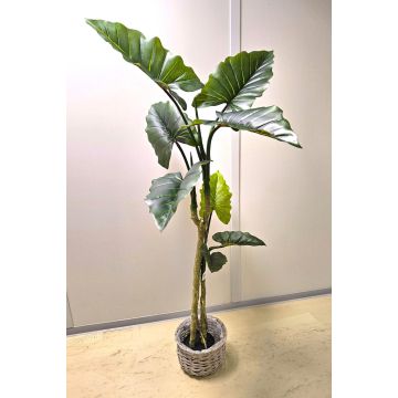 Plastik Colocasia YORICK, grün, 180cm