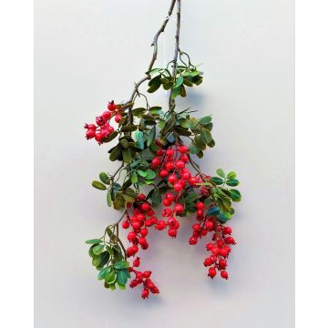 Deko Apfelrosen Zweig WARUNA mit Hagebutten, rot, 85cm