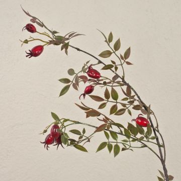 Fake Heckenrosen Zweig WARDALIA mit Hagebutten, rot, 95cm