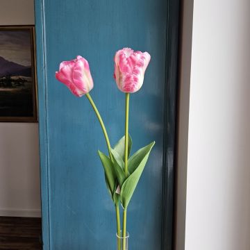 Kunstblume Tulpe PJASSINA, dunkelrosa-creme, 65cm