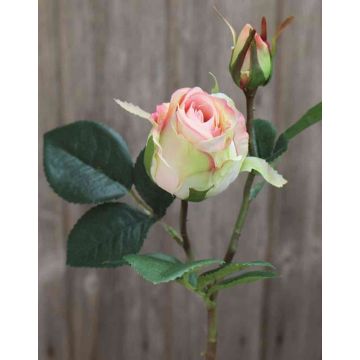 Samt Rose RENESMEE, grün-rosa, 45cm, Ø6cm