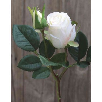 Samt Rose RENESMEE, weiß, 45cm, Ø6cm