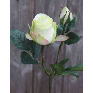 Samt Rose RENESMEE, gelb-grün, 45cm, Ø6cm