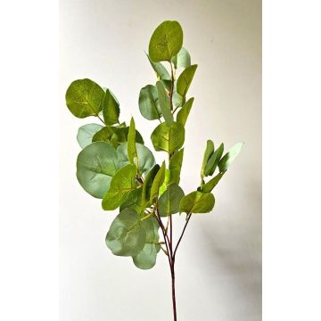 Unechter Eukalyptuszweig GONNE, grün, 85cm
