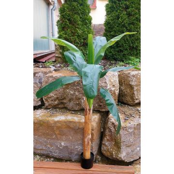Plastik Bananenbaum SHARA, 150cm