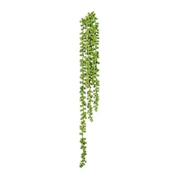Kunst Sukkulente Erbsenpflanze FERTIN, Steckstab, grün, 70cm