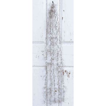 Deko Tillandsia Usneoides CEVIN, Steckstab, grau, 100cm