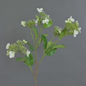 Kunstzweig Hortensie KATHANI, weiß-grün, 80cm, Ø10-13cm