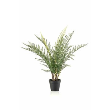 Künstliche Pflanze Schwertfarn LOWTAN im Dekotopf, crossdoor, grün, 65cm