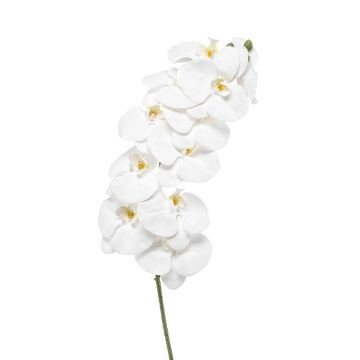 Phalaenopsis Orchideenzweig künstlich XURI, weiß, 95cm, Ø12,5cm