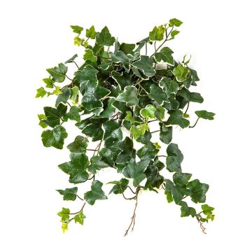 Künstlicher Efeu Hänger LINNEO auf Steckstab, crossdoor, grün-weiß, 50cm