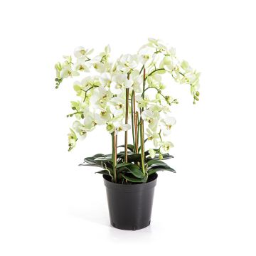 Künstliche Blume Phalaenopsis Orchidee FINEA im Dekotopf, creme, 85cm