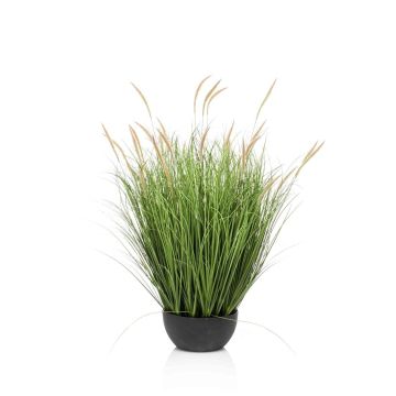 Kunstgras Lampenputzergras WALERIAN in Dekoschale, mit Rispen, grün, 80cm