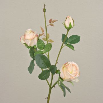 Samt Rose DELILAH, hellrosa, 55cm, Ø6cm