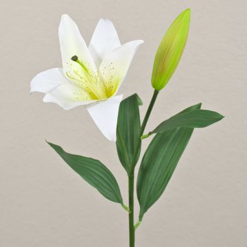 Kunst Tigerlilie FILICE, weiß-grün, 50cm, Ø17cm