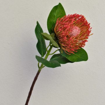 Kunststoffschaum Nadelkissen Protea TANJA, rot-orange, 65cm, Ø10cm