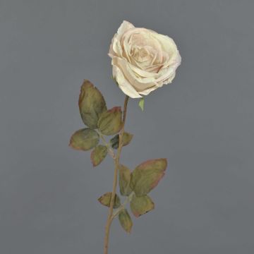 Kunstrose NAJMA, Trockenoptik, creme-rosa, 65cm, Ø10cm