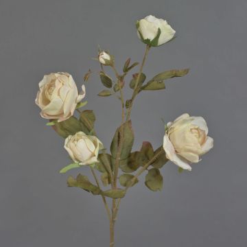 Unechter Rosen Zweig SITARA, Trockenoptik, creme-rosa, 75cm, Ø5-8cm