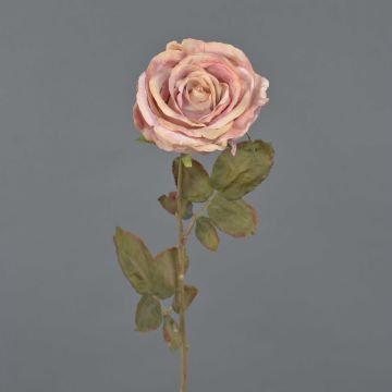 Kunstrose NAJMA, Trockenoptik, altrosa, 65cm, Ø10cm
