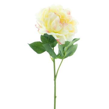 Künstliche Blume Pfingstrose CORDOBA, hellgelb-rosa, 60cm, Ø16cm