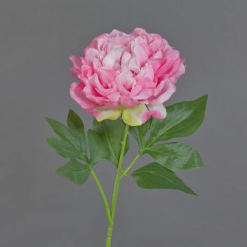 Künstliche Blume Pfingstrose CORDOBA, rosa, 60cm, Ø16cm
