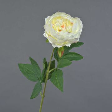 Künstliche Pfingstrose TALFY, creme, 65cm, Ø10cm