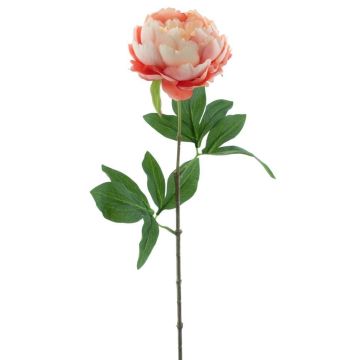 Künstliche Pfingstrose TALFY, rosa-creme, 65cm, Ø10cm