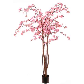 Künstliche Kirschblüten Baum PONFYN mit Blüten, Naturstämme, rosa, 175cm