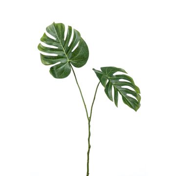 Deko Philodendron Monstera Deliciosa AECIO, 50cm