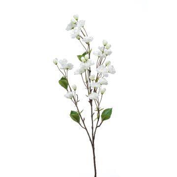 Deko Zweig Zierkirsche AKEMI mit Blüten, weiß, 90cm