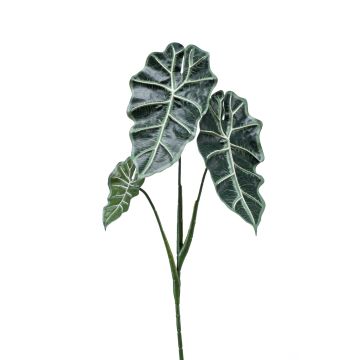Kunststoff Alocasia Sanderiana MATHEA, Steckstab, grün-weiß, 70cm