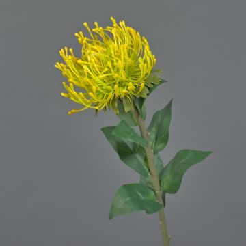 Künstliche Blume Nadelkissen Protea HERVAS, gelb, 70cm, Ø12cm