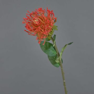 Künstliche Blume Nadelkissen Protea HERVAS, rot-orange, 70cm, Ø12cm