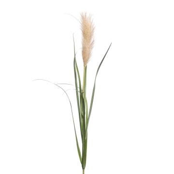 Künstliches Pampasgras ALCANTARA mit Rispe, grün-braun, 120cm